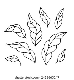 Monochrome black and white floral chinoiserie style leaf isolated on white background. Abstract hand drawn botanical clip art element.
