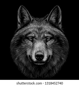 Monochrome, black and white, graphic portrait of a wolf's head on a black background.