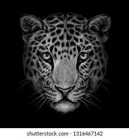 Jaguar Face Images Stock Photos Vectors Shutterstock