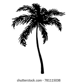 Monochrome black and white tropical palm tree sea ocean beach hand drawn sketch vector