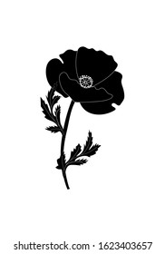 Monochrome, black-and-white image of poppy flower isolated against a white background, vector illustration, hand drawn.