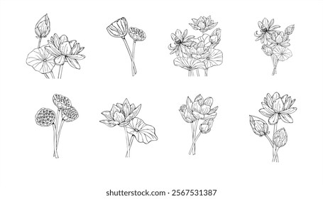 Monochrome blooming lotus flowers and seed pods set hand drawn vector illustration painted by black inks. Water lilies among leaves etching drawing. For coloring book, wedding invitation, stationery.