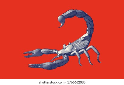 Monochrome blue vintage engraved drawing scorpion side view vector illustration isolated red background