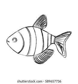monochrome blurred contour with fish vector illustration