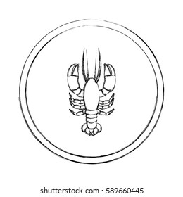 monochrome blurred line contour with lobster in circular frame vector illustration