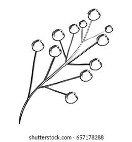 monochrome blurred silhouette of branch with floral buds vector illustration