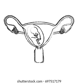 monochrome blurred silhouette of female reproductive system ovaries with fetus human growth ninth month vector illustration