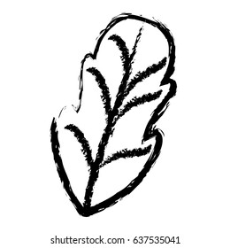 monochrome blurred silhouette of leaf of beet vector illustration