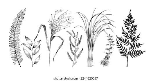 Monochrome boho greenery mix of herbs and plants
