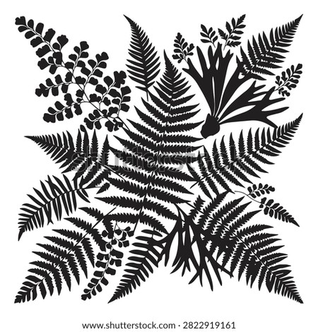 Monochrome botanical composition of assorted fern frond silhouettes with botanical silhouette illustration isolated tropical minimalist decorative monochrome composition environment wildlife