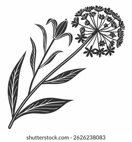Monochrome Botanical Flower Drawing good looking