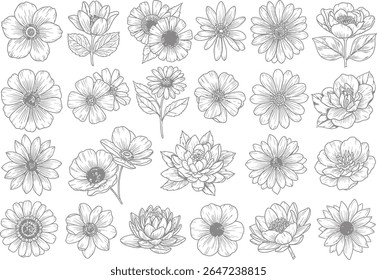 Monochrome Botanical Line Art Collection An Array of Delicate Flower Illustrations for Elegant and Artistic Projects and Designs