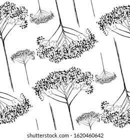 Monochrome botanical pattern. Hand-drawn dry flower twigs. Black and white seamless background. Vector backdrop.