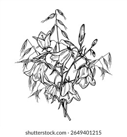 Buquê monocromático de flores de flores de sinuca e aveia selvagem vetor ilustração pintado por tintas pretas. Flores silvestres campâula desenhadas à mão com ervas do prado para papelaria de casamento boho, embalagem do produto.