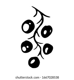 Monochrome branch with berries. Vector isolated element for design.