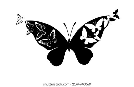 Monochrome butterflies abstraction. Vector illustration