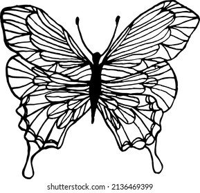 Monochrome butterfly. Black and white drawing. Vector butterfly isolated on a white background.