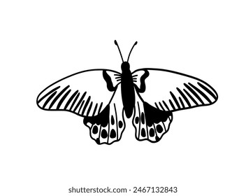 Monochrome butterfly silhouette cut out black