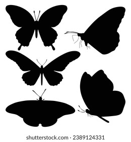 monochrome Butterfly Silhouettes Vector illustration