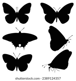 monochrome Butterfly Silhouettes Vector illustration