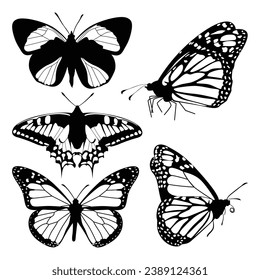 monochrome Butterfly Silhouettes Vector illustration