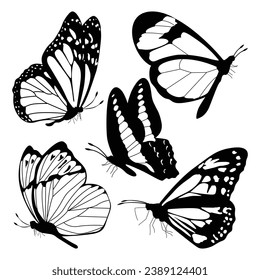 Silhouettes de mariposa monocroma Ilustración de vectores