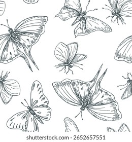 Padrão sem emenda do vetor de borboleta monocromático. Rabo-de-andorinha, Monarca e Senhora Pintada borboletas desenharam à mão contorno preto branco em plano de fundo repetido. Borboletas design de arte de linha para impressão vintage.