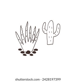 Monochrome Cactus Aloe Desert Plant. Vector doodle hand drawn black and white illustration posters t-shirts and stickers