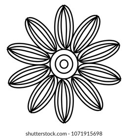 monochrome and circular mandala
