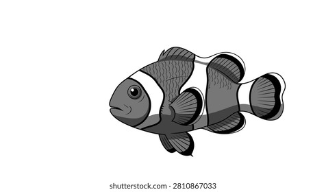 Monochrome clownfish vector illustration. Cute cartoon anemonefish icon in black, white, and grey shades. Isolated marine life element on a transparent background.