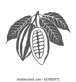 monochrome cocoa beans and leaves illustration