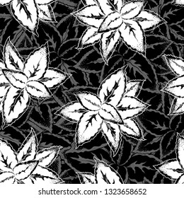 
 Monochrome coleus foliage seamless pattern. Hand drawn illustration of a houseplant. Vector drawing. 