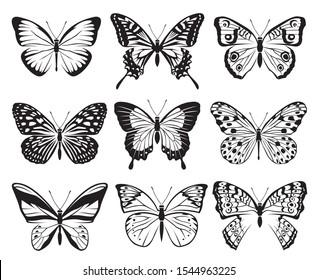 monochrome collection of butterflies isolated on white background