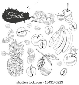 Monochrome collection of different fruits. Whole and sliced elemets isolated on white background. Hand drawn sketch. Vector illustration.