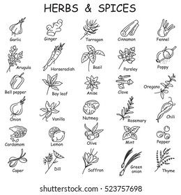 Monochrome collection of different herbs and spices icons. Vector illustration