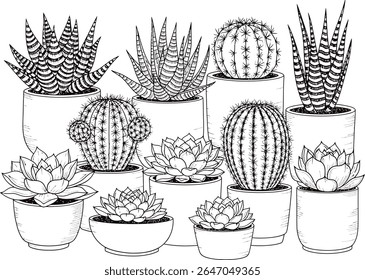 Monocromática Coleção de Cactos e Suculentos em Variedade de Formas e Tamanhos, Exibido em uma Variedade de Plantadores