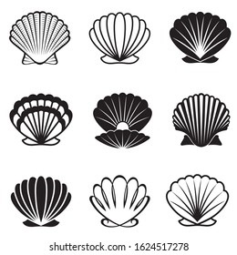 monochrome collection of various seashells isolated on white background