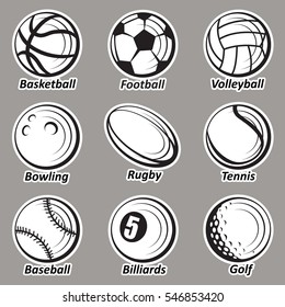 monochrome collection of various sport balls 