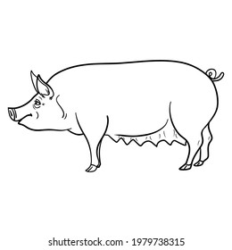 Monochrome Comic Pig Side Vector Outline Stock Vector (Royalty Free ...