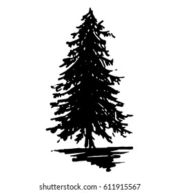 Monochrome coniferous tree silhouette sketched line art isolated vector