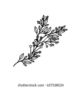 monochrome contour of branch with leaves and small flowers vector illustration