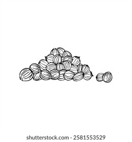 Coentro monocromático semente pilha vetor linha arte tinta preta esboço. Especiarias secas aromáticas ilustração de esboço gráfico realista. Ingrediente de sementes picantes para decoração, receita de cozinha, remédio, comida.