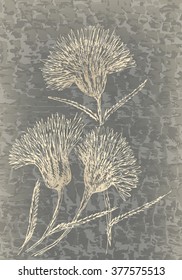 Monochrome cornflowers on grunge texture. Vintage floral decor. 