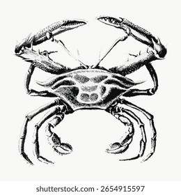 Monochrome crab illustration, detailed crab design, black and white crab art, intricate crab sketch, artistic unique drawing, artwork. Vintage animal illustration.
