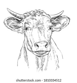 18,563 Bull hand draw Images, Stock Photos & Vectors | Shutterstock