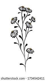 Monochrome daisy flower. Vector illustration