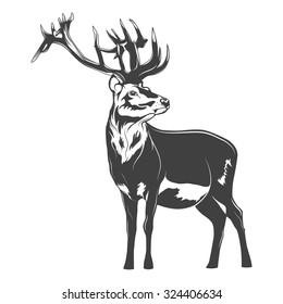 Monochrome deer on a white background. Vector EPS8 illustration. 