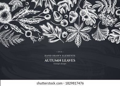 Monochrome design with chalk fern, dog rose, rowan, ginkgo, maple, oak, horse chestnut, chestnut, hawthorn