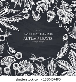 Monochrome design with chalk fern, dog rose, rowan, ginkgo, maple, oak, horse chestnut, chestnut, hawthorn