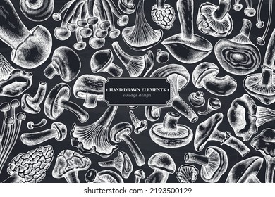 Monochrome design with chalk oyster mushroom, champignon, honey agaric, etc.